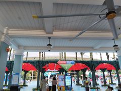 -海合安成都极地海洋公园