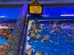 水产区-万宝海鲜舫(劳动公园店)