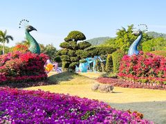 -东南花都花博园