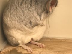 -龙猫仔乐园(惠福东路店)