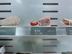 -中国地质博物馆