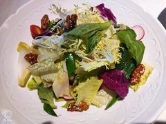 -旺顺阁·北京菜(北辰上品+)