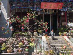 -寂照庵