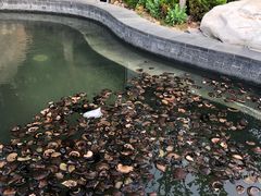 -金石唐风国际温泉会馆