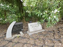 -上海吴淞炮台湾国家湿地公园