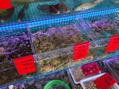 水产区-洲晓鲜·舟山海鲜大排档(朱家尖风景区店)