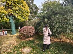 -云龙湖旅游景区