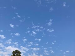 -白石龙音乐公园