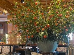 -八府香鸭·啫啫煲(华山路店)