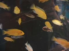 -默迹咖啡馆