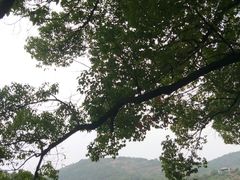 -白马涧龙池景区