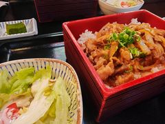 -香港宠物街