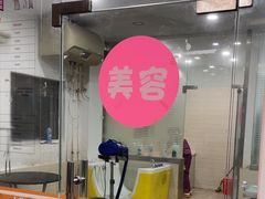 -暖阳宠物医院·犬猫康复中心·骨科