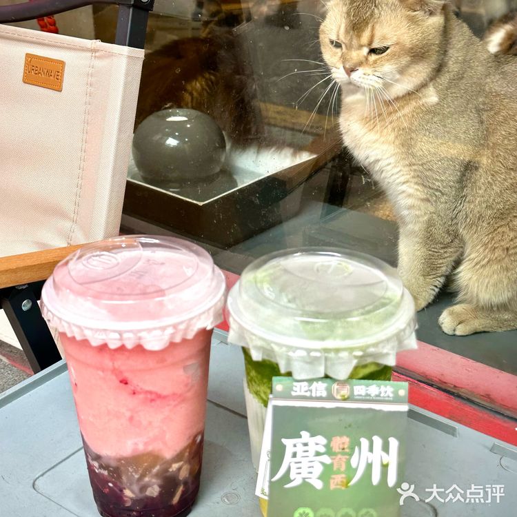 广州天河六运的….这两杯一喝一个不吱声🤫