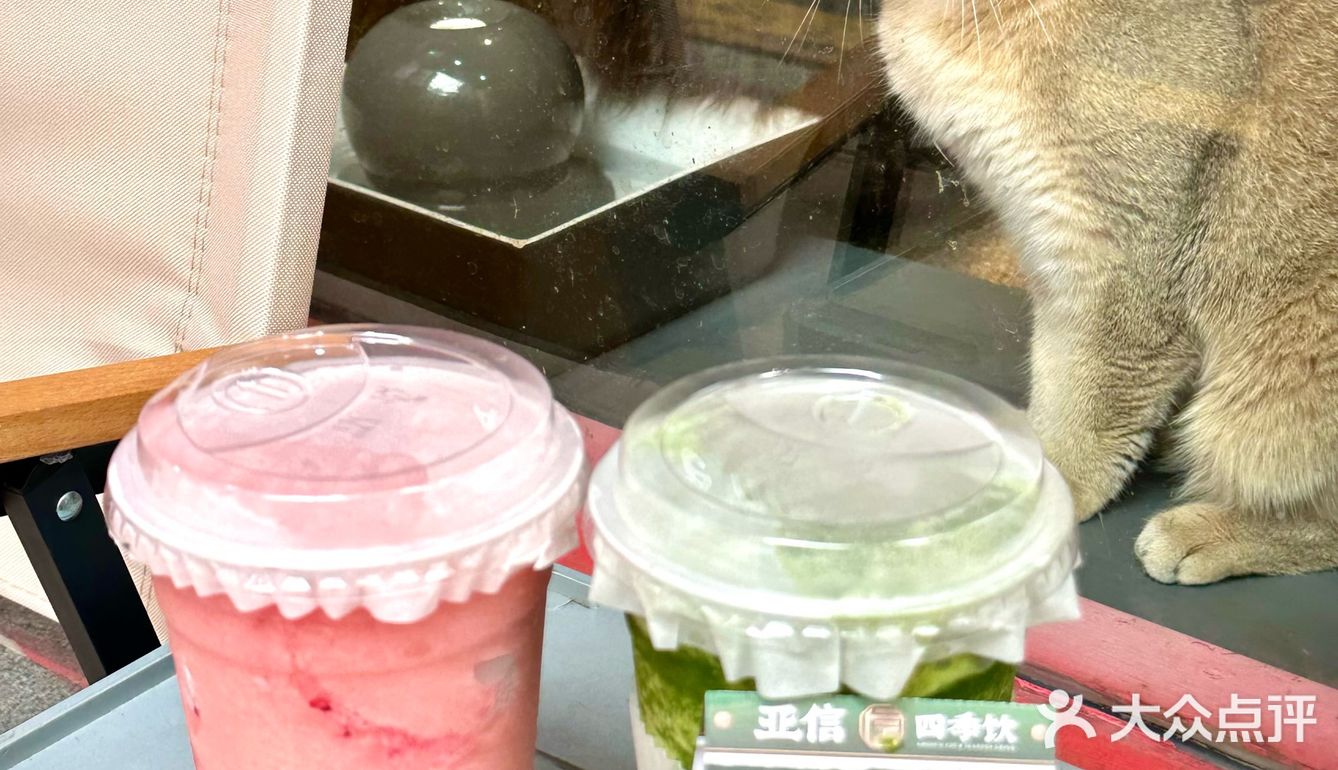 广州天河六运的….这两杯一喝一个不吱声🤫