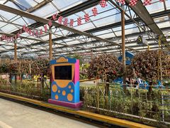 -南宫五洲植物乐园