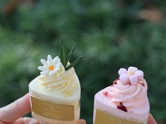 -杜哈夫DOUX RÊVE·生日蛋糕(日月光店)