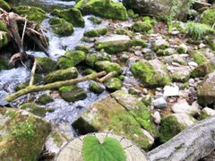 -陕西省红河谷森林公园