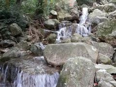 -北仑森林植物园