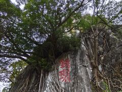 -星湖旅游景区七星岩