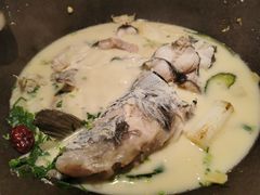 -鲜潭蒸汽石锅鱼(五道口购物中心店)