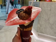 -哈根达斯(虹口店)