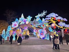 -淄博花灯齐彩城