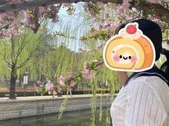 -元大都城垣遗址公园