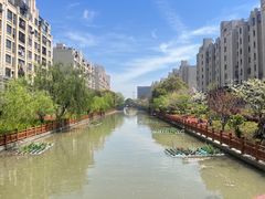 -高东镇樱花园