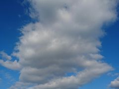 -金斯顿千岛群岛游轮