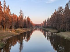 -黄海国家森林公园