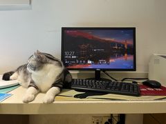 -艾贝尔宠物医院·24H转诊中心·肿瘤猫专科(江宁双龙店)