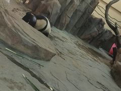 -宁波野生动物园