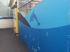 -布噜游泳俱乐部(东闸路店)