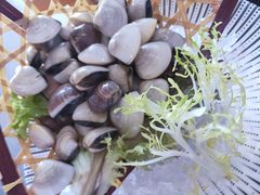 -马家斑.鲜鱼火锅(松湖万科店)