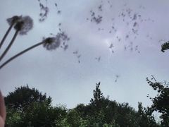 -鬼笑石后山停车场