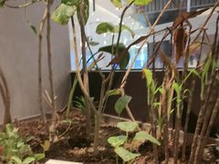 -bluefrog蓝蛙(皇庭广场店)