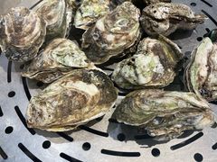 -飞尝蚝·顺德菜·鱼生(顺德总店)