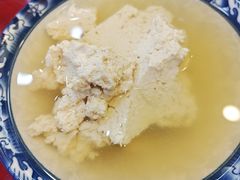 菜豆腐-张明富面皮店(东大街店)