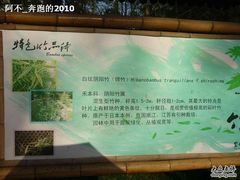 -紫竹院公园冰场
