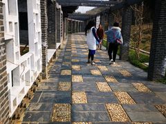 -龙寺生态园