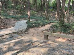 -灵岩山风景区