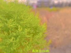 -映月湖中央公园