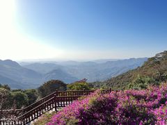 -广州市石门国家森林公园