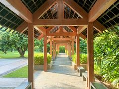 -福田红树林生态公园