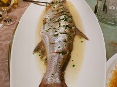 -中国饭店-餐厅