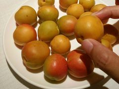 吊干杏-悦融琥珀·京鲁菜·海味珍品(西单店)