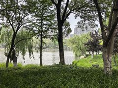 -南通濠河风景名胜区