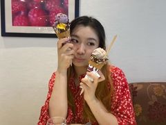 -哈根达斯(石家庄北国店)