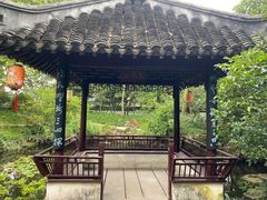 -上海醉白池公园